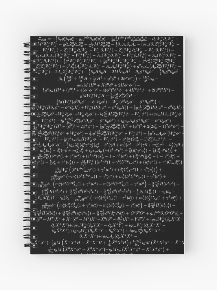 Standard model Lagrangian