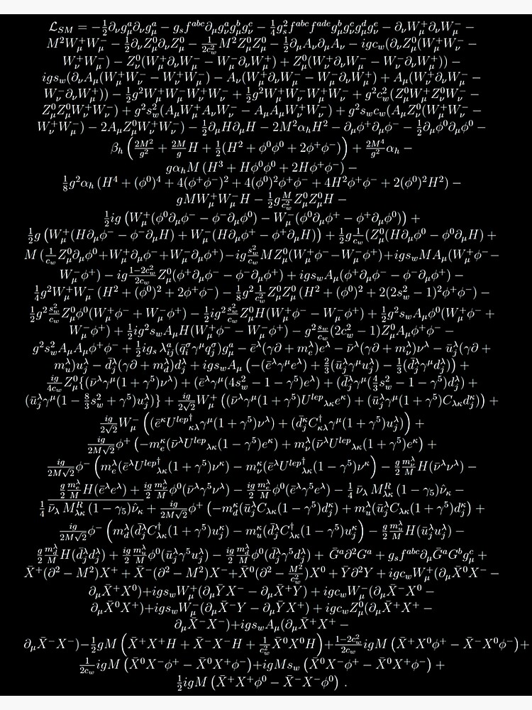 Standard model Lagrangian