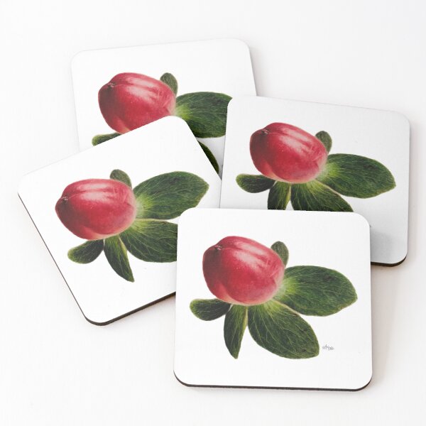 Item preview, Small Red Summer Berries | red berries stickers pack designed and sold by NathBros.