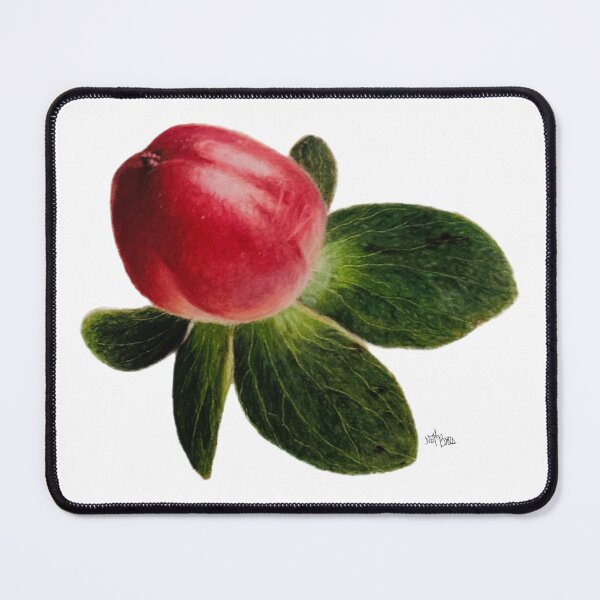 Item preview, Small Red Summer Berries | red berries stickers pack designed and sold by NathBros.
