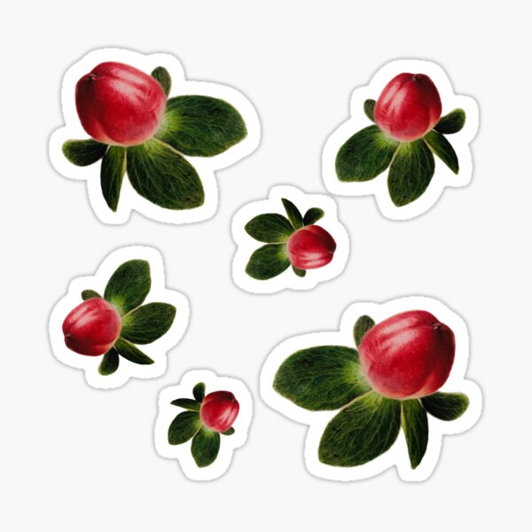 Item preview, Small Red Summer Berries | red berries stickers pack designed and sold by NathBros.