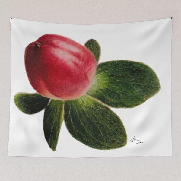 Item preview, Small Red Summer Berries | red berries stickers pack designed and sold by NathBros.