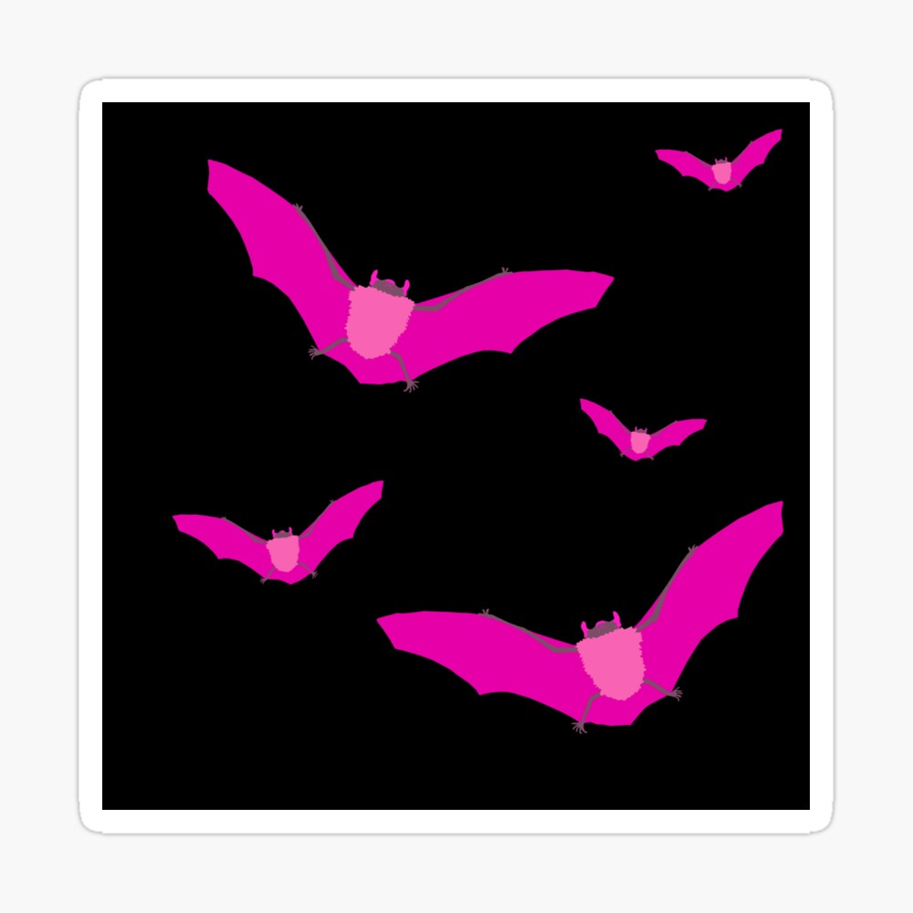 Pink Highlight Series Bat - Birdman Bats