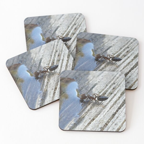 Item preview, The Watering Hole designed and sold by Art-By-Anythya.