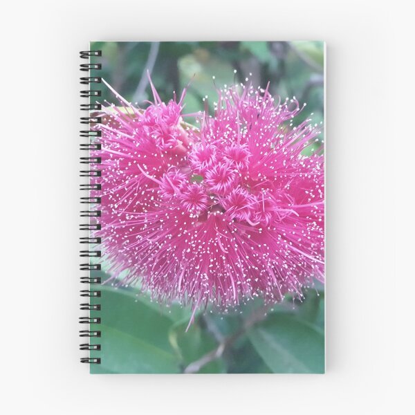 Item preview, Melaleuca Flower designed and sold by Art-By-Anythya.