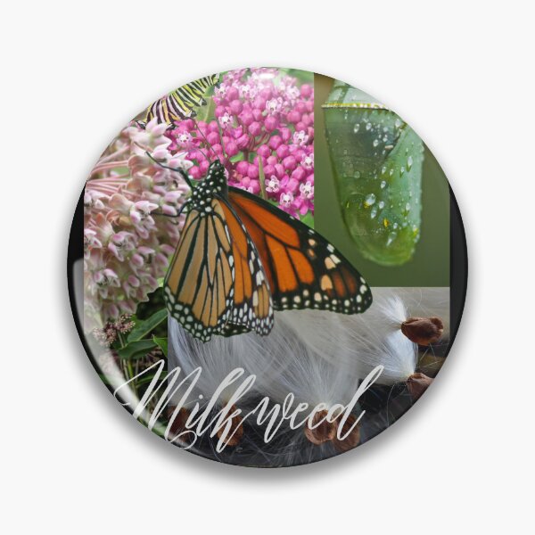 Item preview, Milkweed Is For Monarchs Colorful Digital Photo Design designed and sold by EarthArtDesigns.