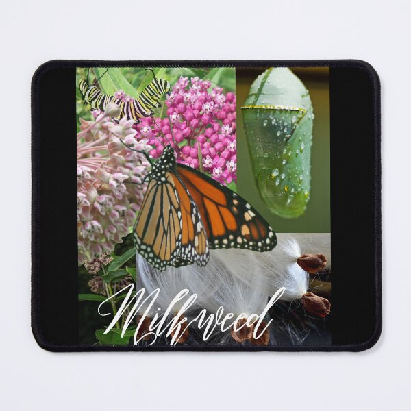 Item preview, Milkweed Is For Monarchs Colorful Digital Photo Design designed and sold by EarthArtDesigns.