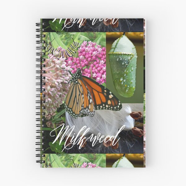 Item preview, Milkweed Is For Monarchs Colorful Digital Photo Design designed and sold by EarthArtDesigns.