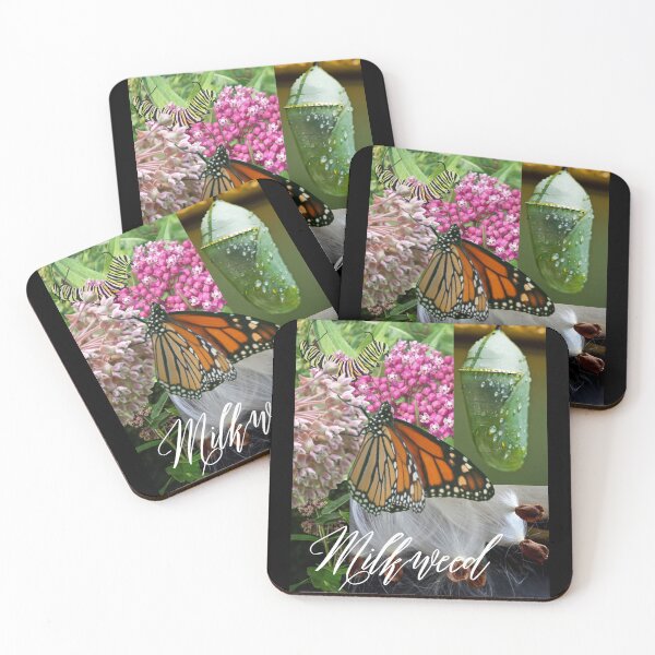 Item preview, Milkweed Is For Monarchs Colorful Digital Photo Design designed and sold by EarthArtDesigns.