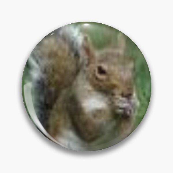 Item preview, Astute Cute Squirrel Animals  Idol Gift Fot You designed and sold by JayGeorgeVineya.