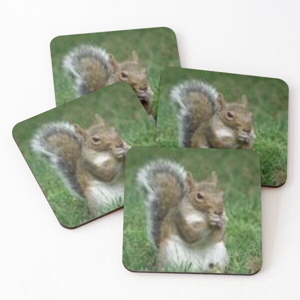 Item preview, Astute Cute Squirrel Animals  Idol Gift Fot You designed and sold by JayGeorgeVineya.
