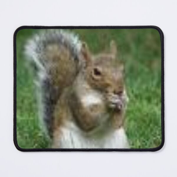 Item preview, Astute Cute Squirrel Animals Idol Gift Fot You designed and sold by JayGeorgeVineya.
