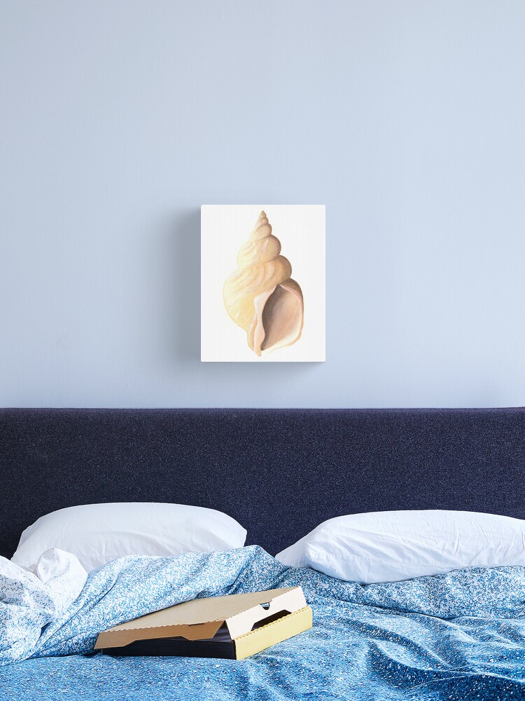 Thumbnail 1 of 3, Canvas Print, Whelk sea shell a watercolour study designed and sold by LisaLeQuelenec.