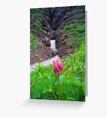 Stand Alone Greeting Card