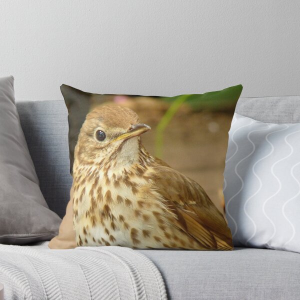 Item preview, Could You Repeat That Please..? - Song Thrush - NZ designed and sold by AndreaEL.