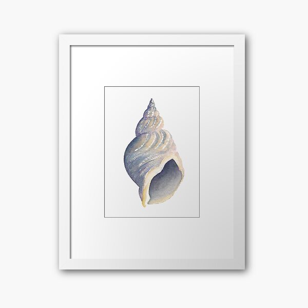 Sea shell I Framed Art Print