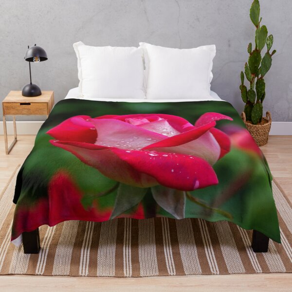 Item preview, FLORA #15 - Dual Pink and Red Rose Framed by Green designed and sold by DEL-Productions.