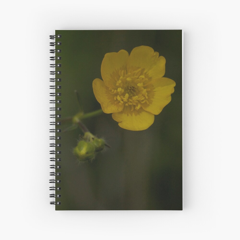 Meadow Buttercup - Burntollet Woods, County Derry Spiral Notebook