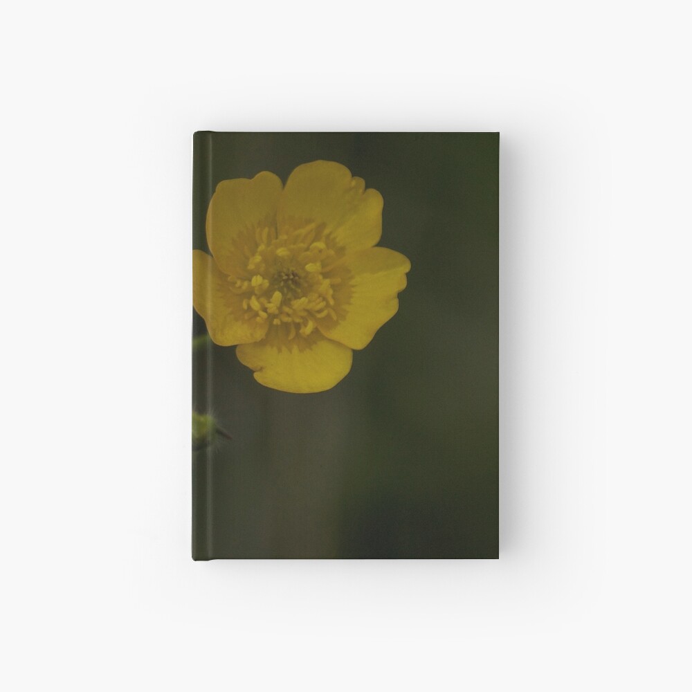 Meadow Buttercup - Burntollet Woods, County Derry Hardcover Journal