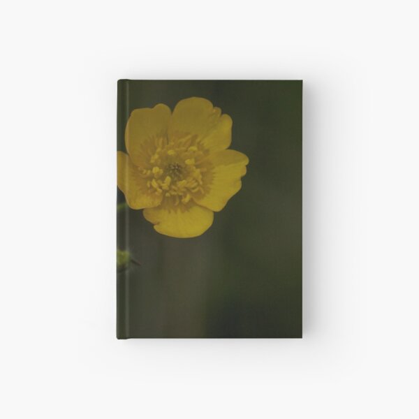 Meadow Buttercup - Burntollet Woods, County Derry Hardcover Journal