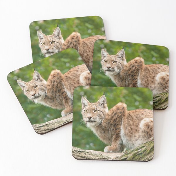 Item preview, Lynx designed and sold by Dominika Aniola.