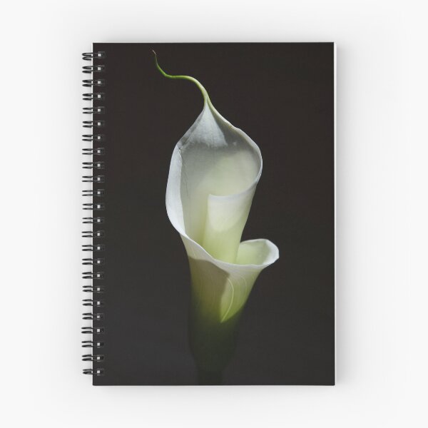 Aperçu de l'œuvre Lily dramatique sur fond noir créée et vendue par JuniperMT.