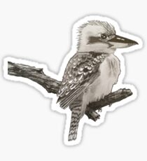 Kookaburra Sticker
