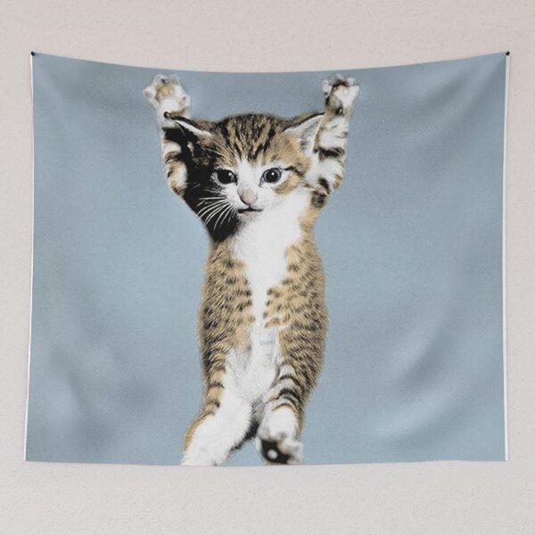 Item preview, Th Cat Believe Poster designed and sold by Roy-Blankenship.