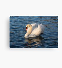 Pride and Grace - Swan Gliding on Satiny Ripples Canvas Print