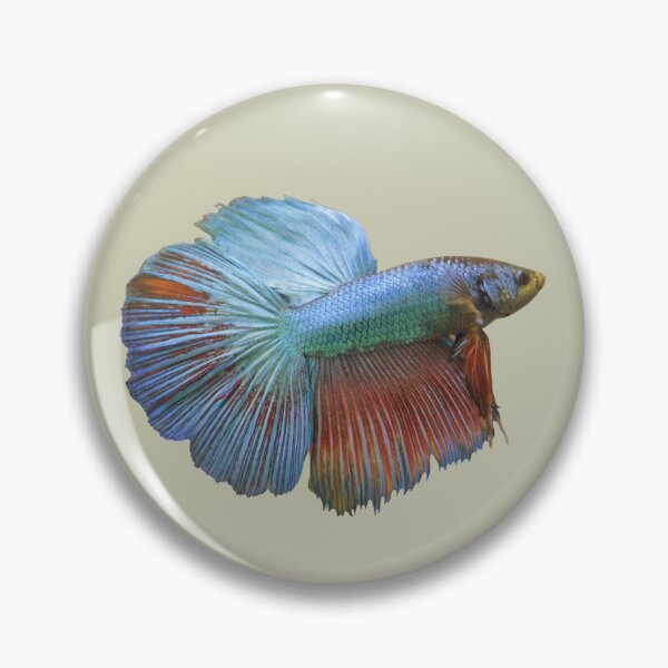 Item preview, Colorful Beta Fish designed and sold by RainbowSpinkle.