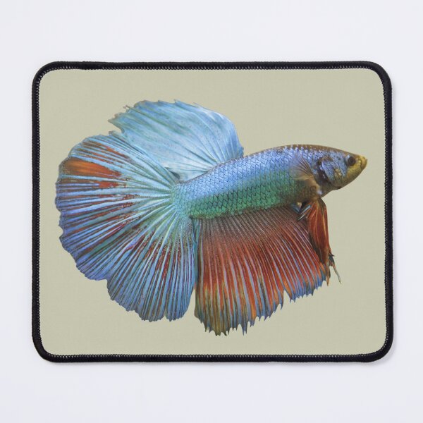 Item preview, Colorful Beta Fish designed and sold by RainbowSpinkle.