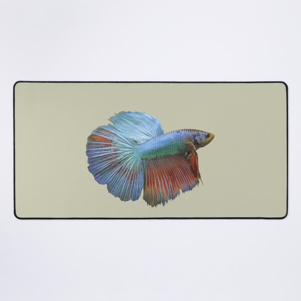Item preview, Colorful Beta Fish designed and sold by RainbowSpinkle.