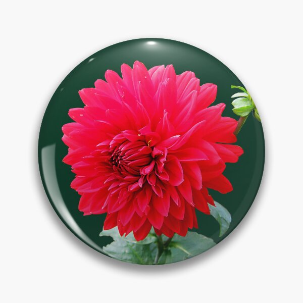 Item preview, FLORA #17 - Red Dahila Flower and Bud designed and sold by DEL-Productions.