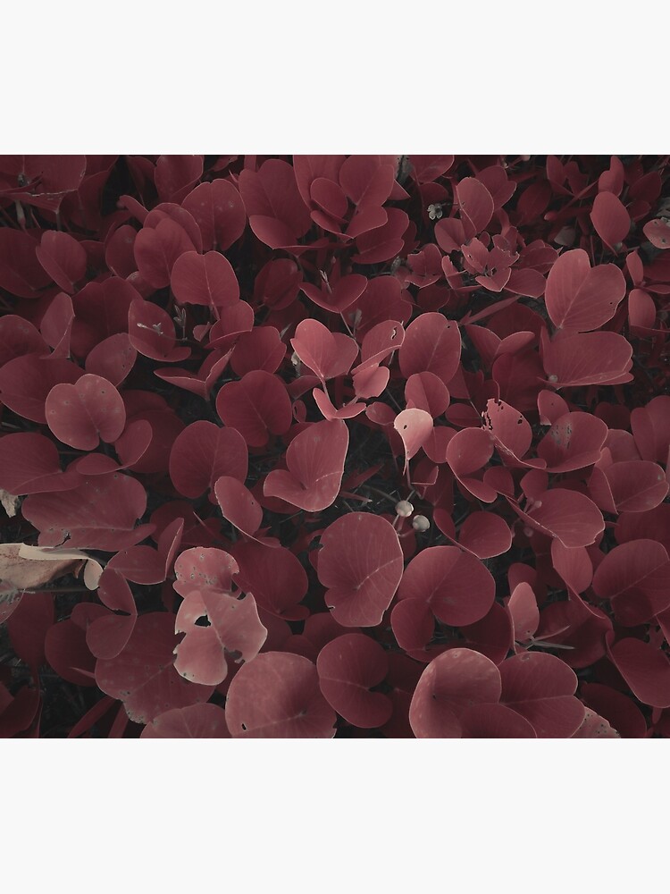"Red Leaf Pattern " Poster for Sale by FantasyArtStore | Redbubble