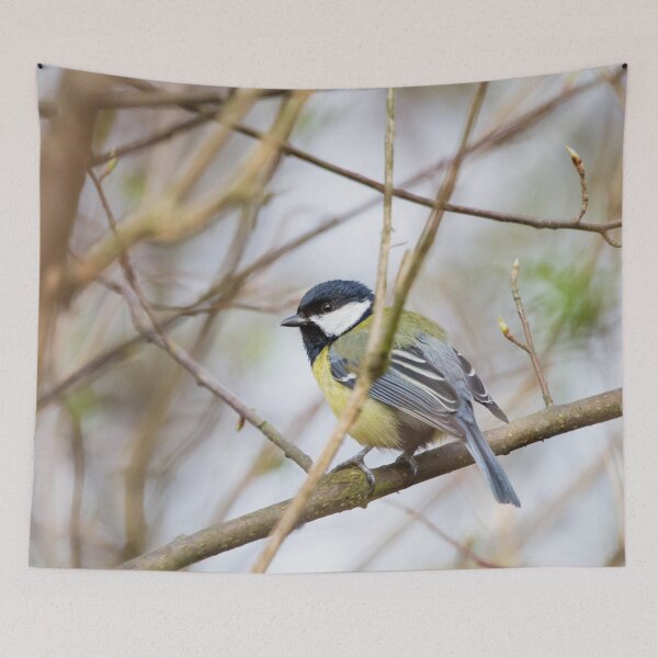 Item preview, The Great Tit designed and sold by Dominika Aniola.