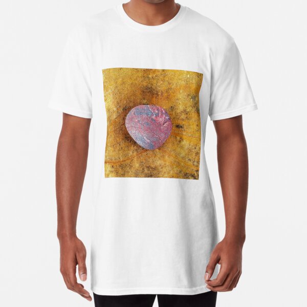 Red and Yellow rocks Long T-Shirt