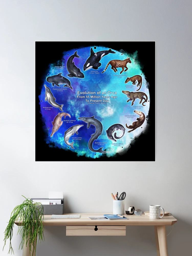 cposter,large,product,750x1000