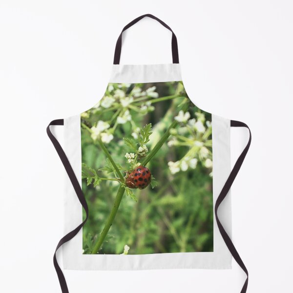Item preview, Ladybugs on Poison Hemlock  designed and sold by NimsNature.