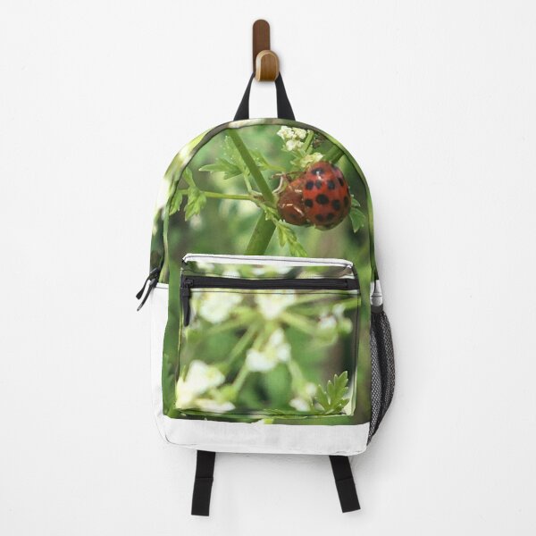 Item preview, Ladybugs on Poison Hemlock designed and sold by NimsNature.