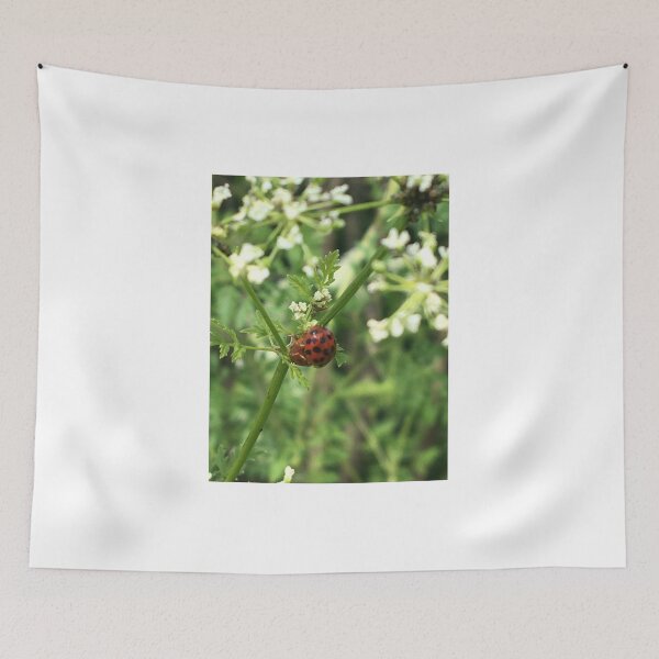 Item preview, Ladybugs on Poison Hemlock  designed and sold by NimsNature.
