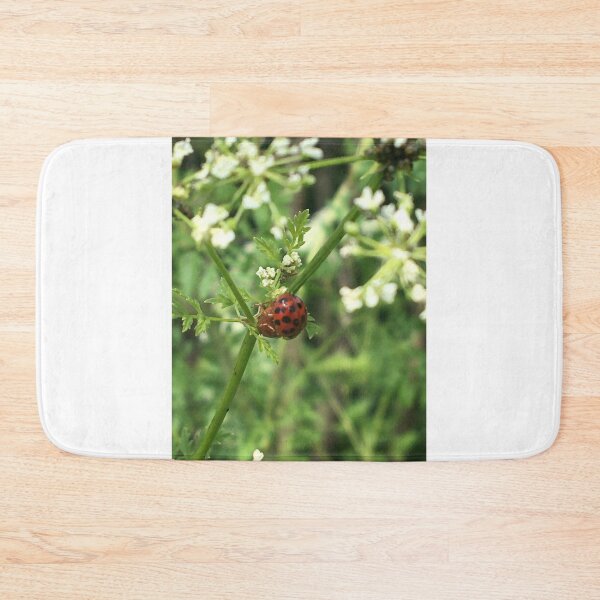 Item preview, Ladybugs on Poison Hemlock  designed and sold by NimsNature.