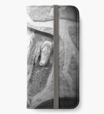 2010_17 iPhone Wallet/Case/Skin