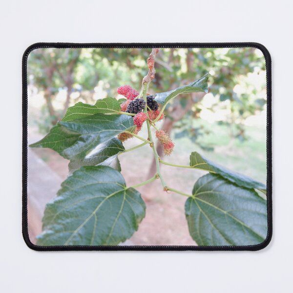 Item preview, Mulberry Thai Fruit designed and sold by March Rider.