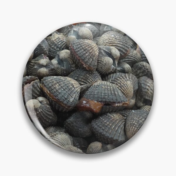 Item preview, cockle designed and sold by March Rider.