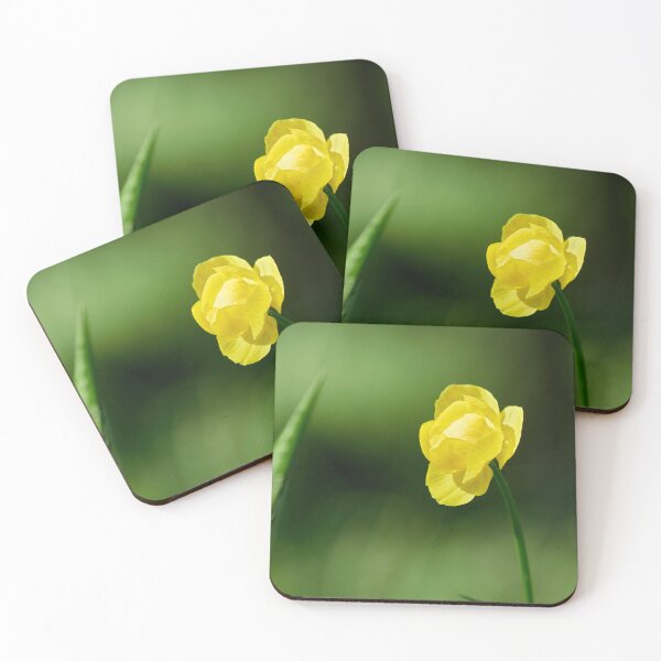 Item preview, The modest flowers of Sea-buckthorn designed and sold by Jouko Lehto Photography.