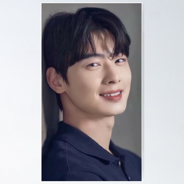 Cha Eunwoo Posters for Sale Redbubble