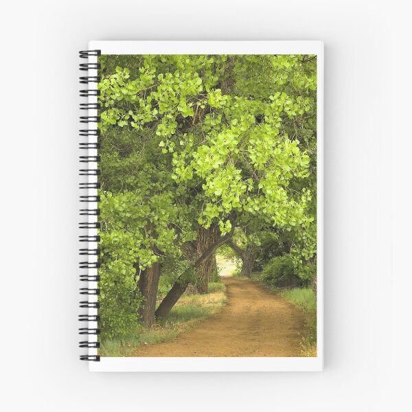 Aperçu de l'œuvre Cottonwoods, Nouveau-Mexique créée et vendue par Tamas Bakos.