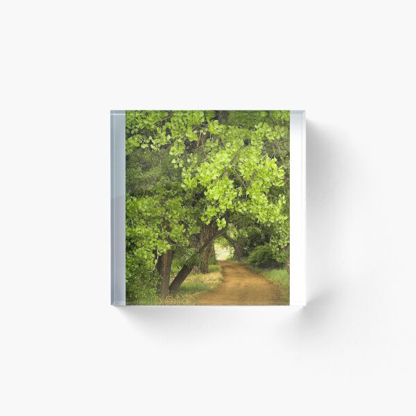 Artikelvorschau, Cottonwoods, New Mexiko entworfen und verkauft von Tamas Bakos.