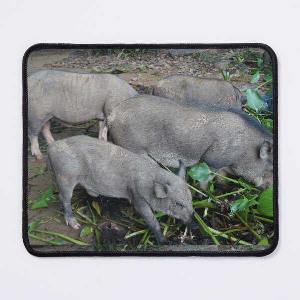 Item preview, boar designed and sold by March Rider.