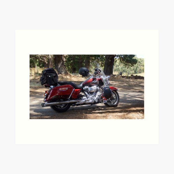 Item preview, Motor Bike by Adelaide artist Avril Thomas at Magpie Springs designed and sold by MagpieSprings.